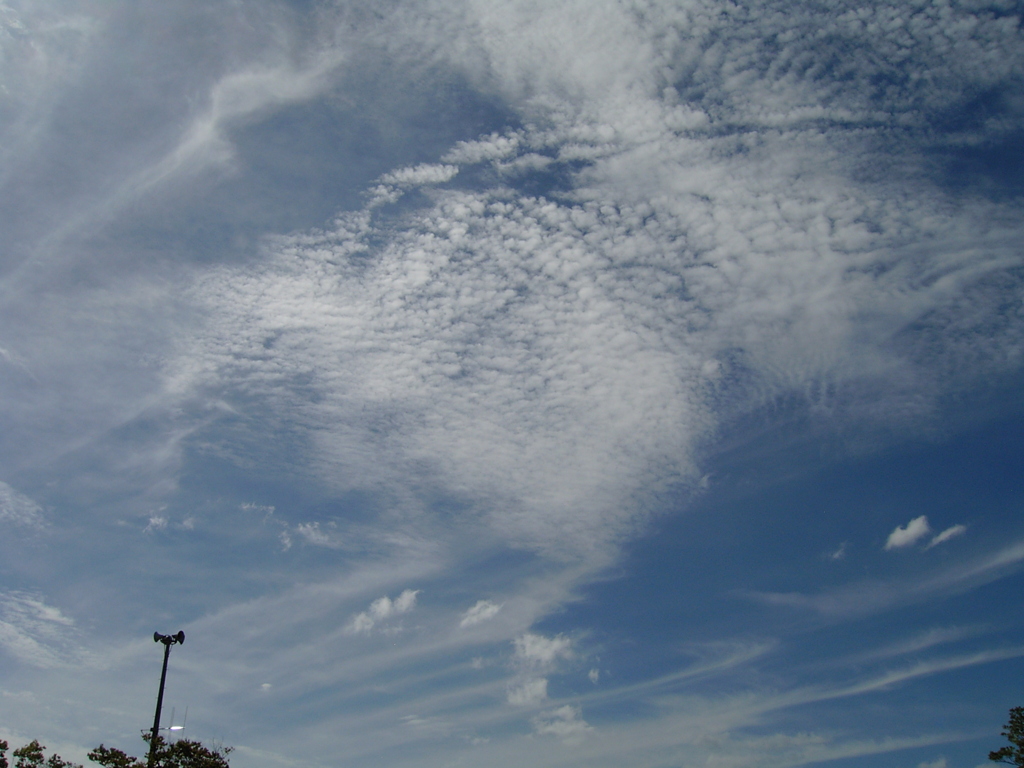 雲　⑥