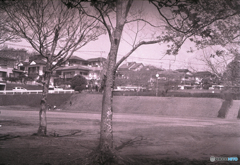 ミノルタ・ハイマチック7