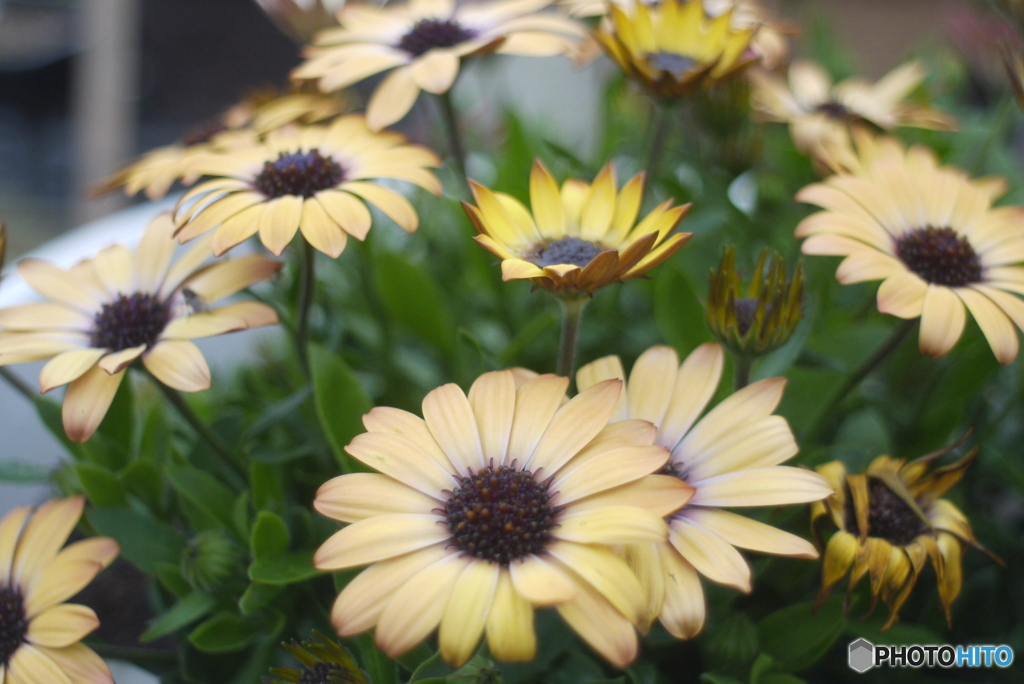 SIGMA SUPER-WIDE 1:2.8 f=24mmと言う選択⑨