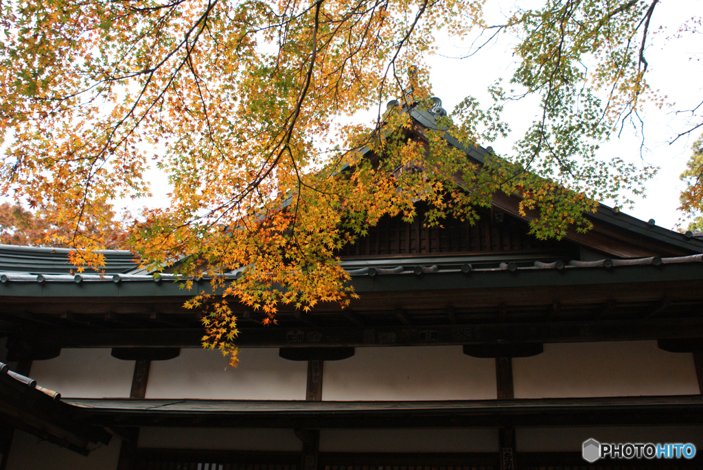 大雄山最乗寺2011-➄