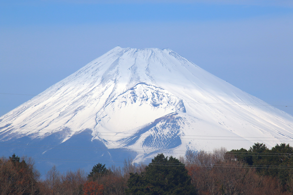 謎のレンズで撮る-➃