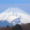 謎のレンズで撮る-➃