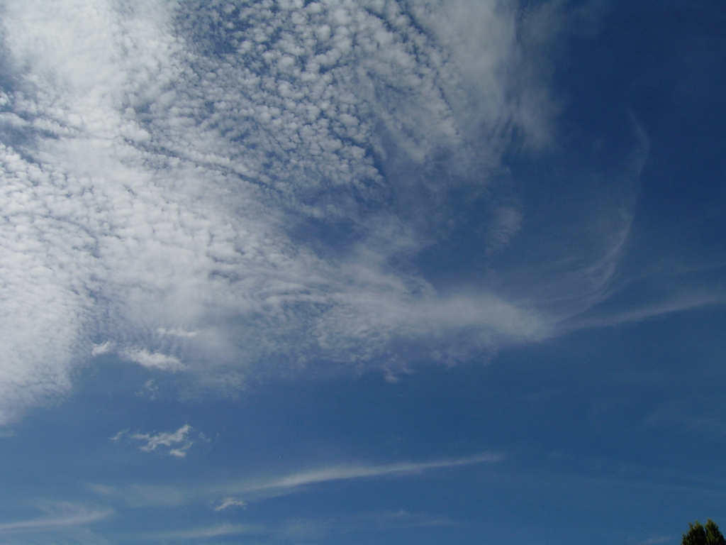 雲　⑨