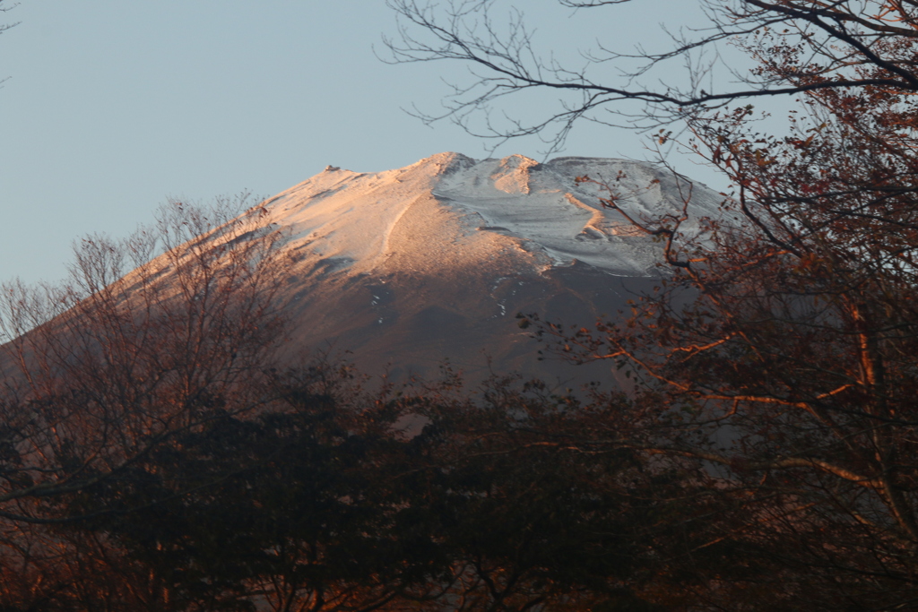 明日への希望-①