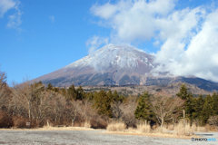 良い初夢をご覧ください 