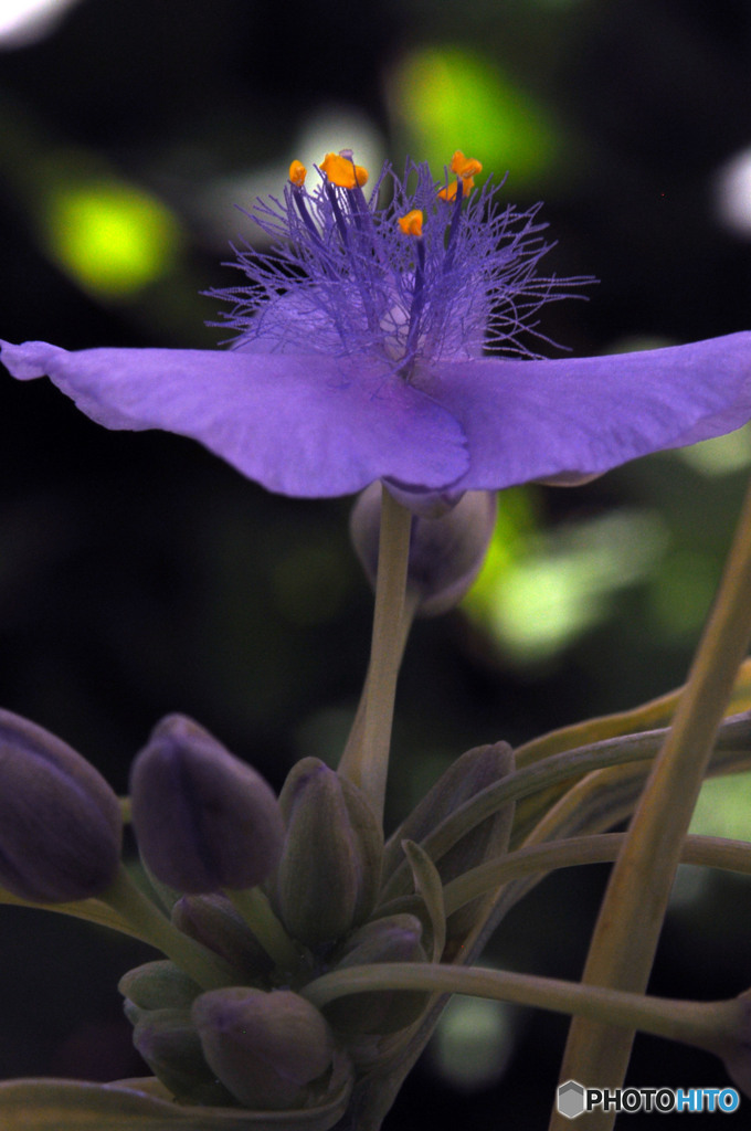 結構いけます＾＾-64mm f=8