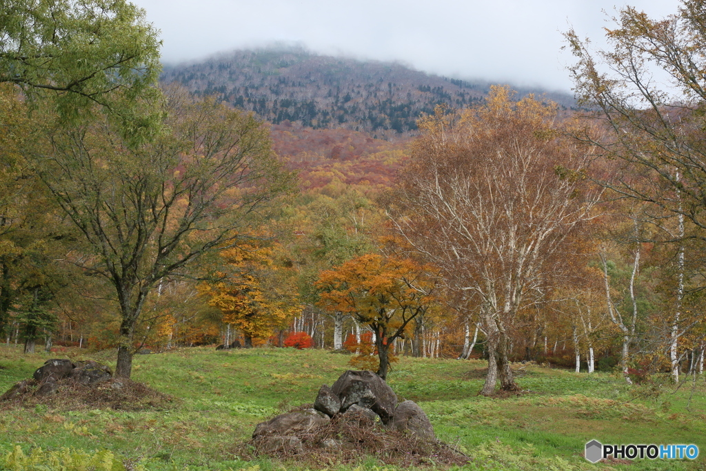 笹ヶ峰の紅葉