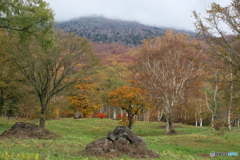 笹ヶ峰の紅葉