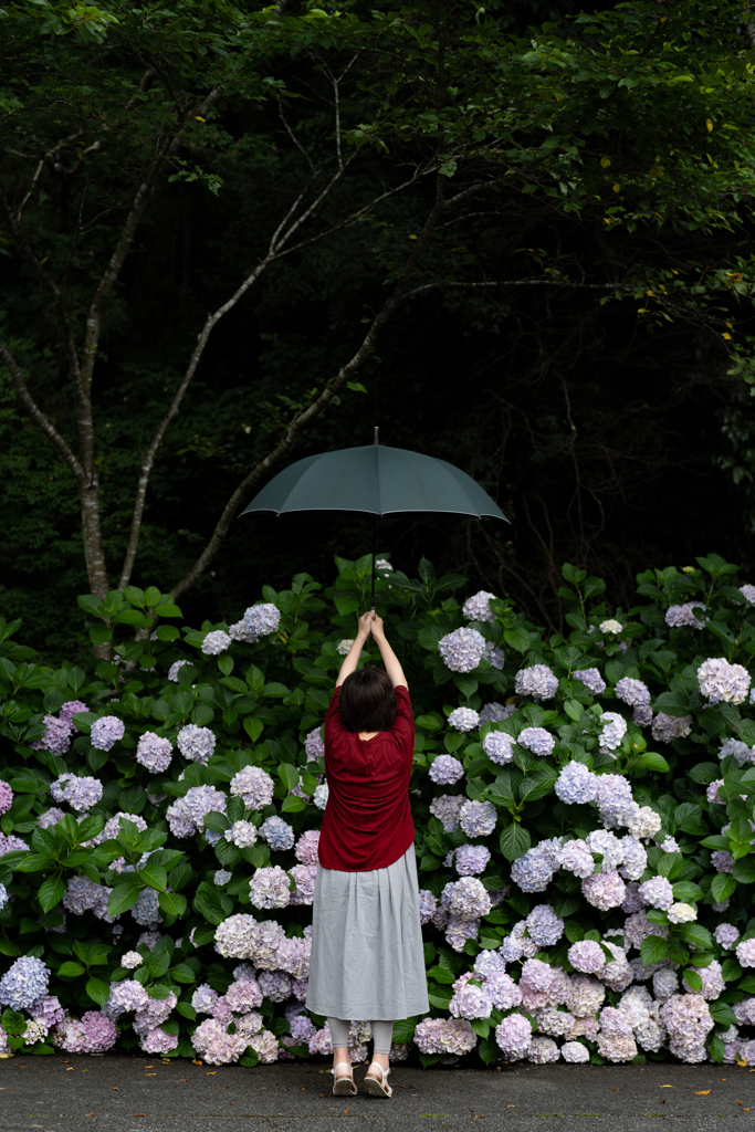 とある雨の日に