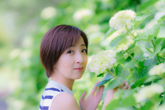 紫陽花のころ