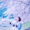 カメラ女子　-桜編-