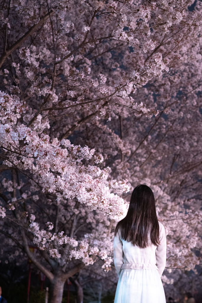 美・少女L