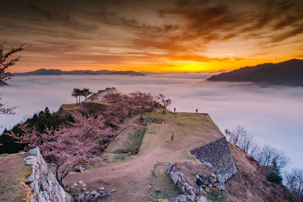 竹田城跡　-春景-　