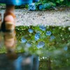 通り雨