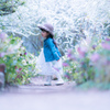春の妖精　plrologue