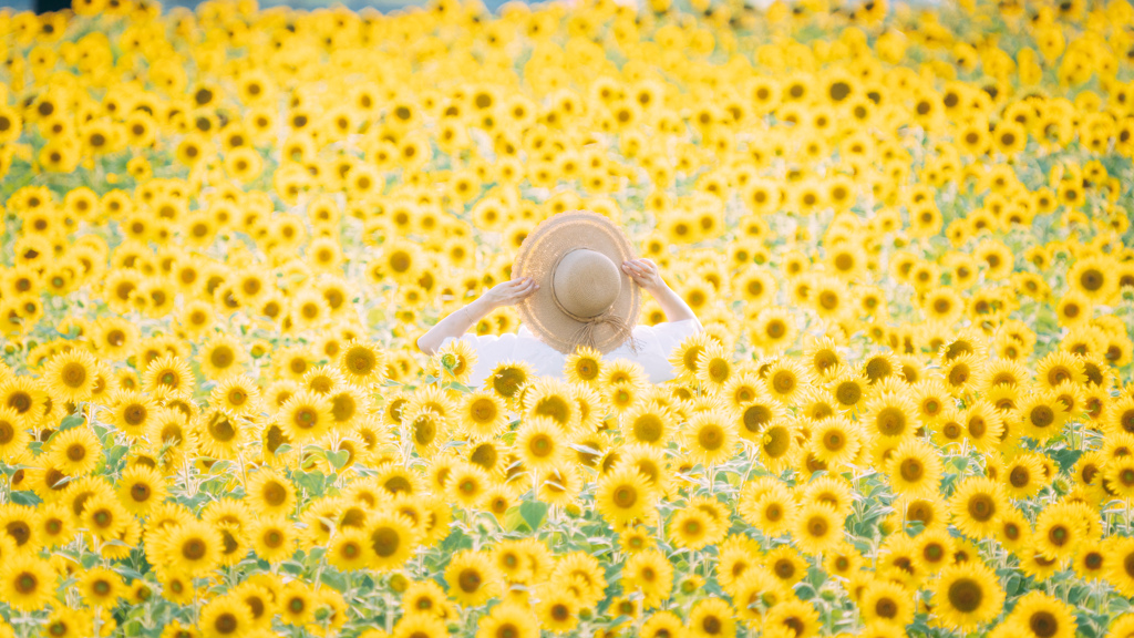 夏のお嬢さんⅡ