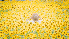夏のお嬢さんⅡ