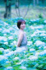 蒼い世界