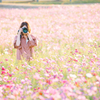 秋桜畑にて