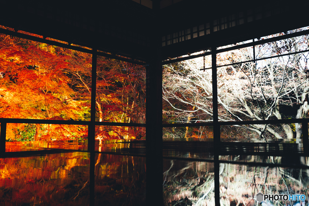 瑠璃光院<秋の夜>