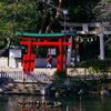 鳥居のある風景