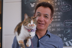 猫散歩