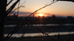 多摩川の夕焼け