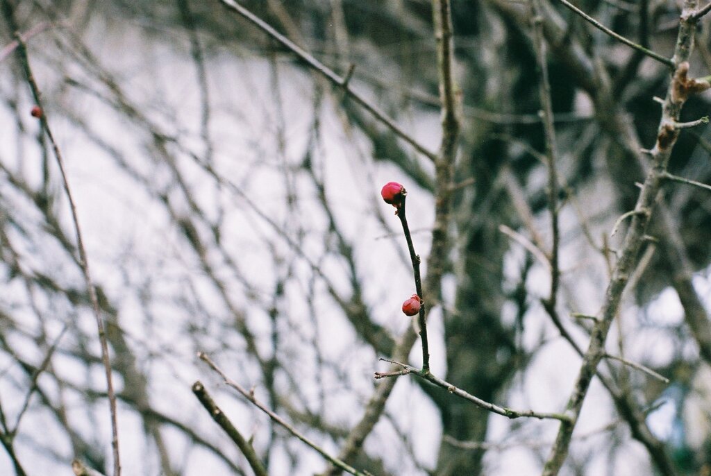 20200127_212332