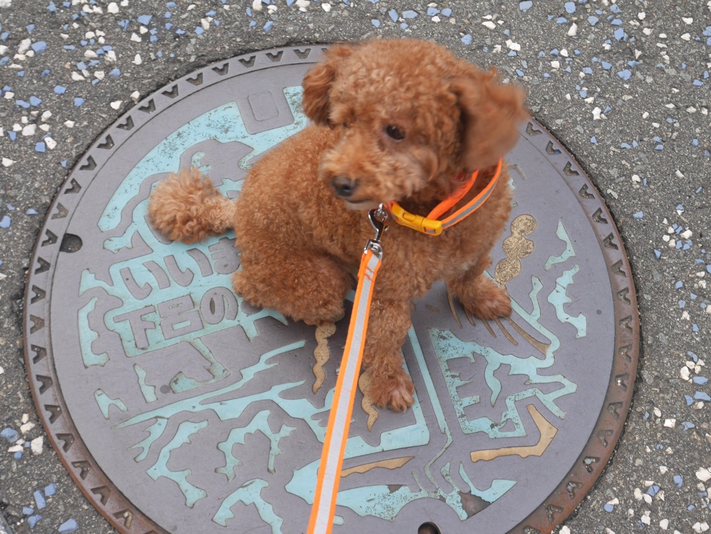 下呂温泉♨️