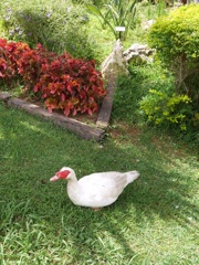 さて、散歩しに行こ！