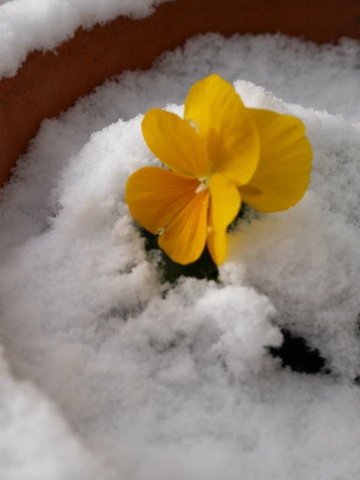 あっ！晴れてきた！