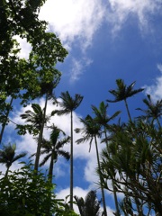 沖縄の空