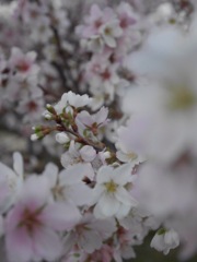 まもなく主役！