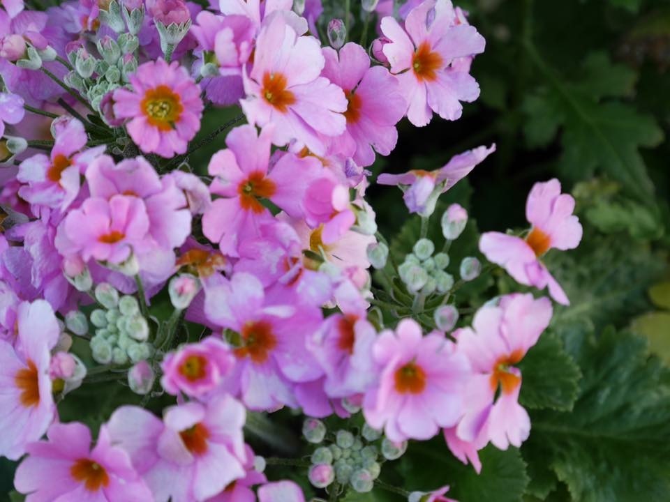 三月、今日から春だ！