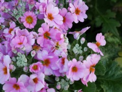 三月、今日から春だ！