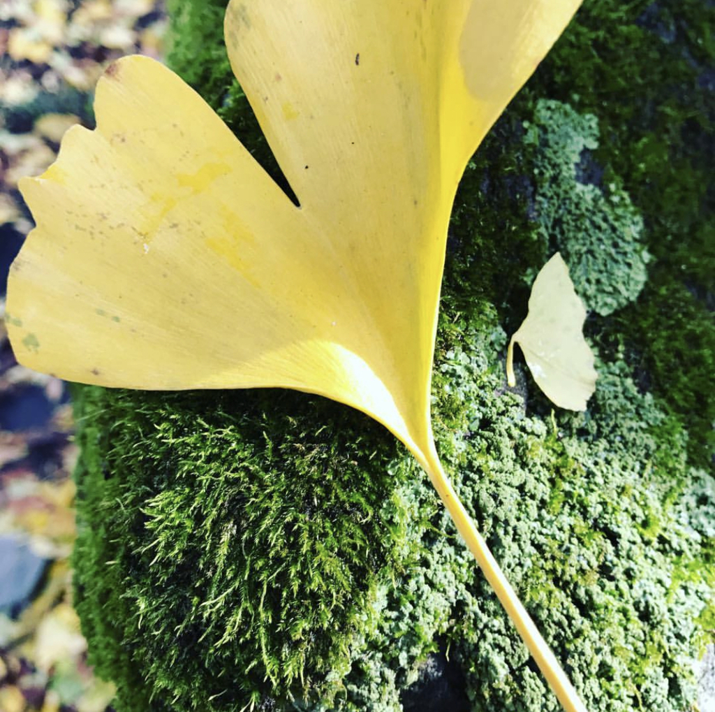 F3B003AB-9EB4-4F08-A205-4521E68BD445