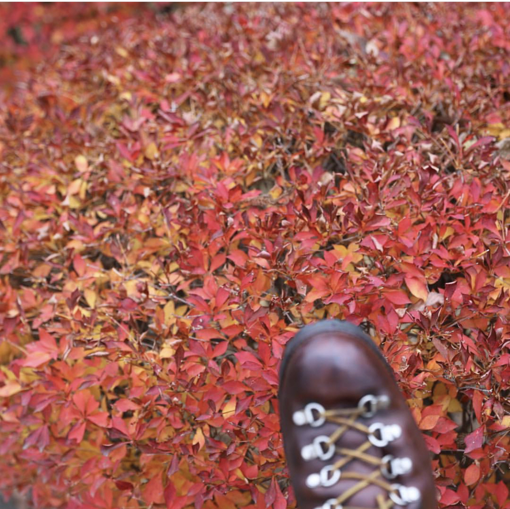 65446C95-FA3F-4ADB-B971-806D1ED12DF7