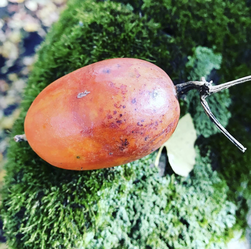 F41943AF-7F82-4F4B-B79C-38BB942D7713