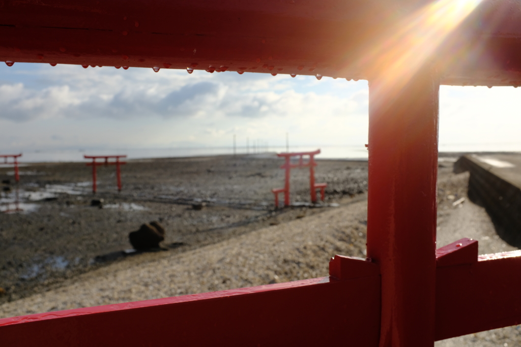 「鳥居から鳥居」