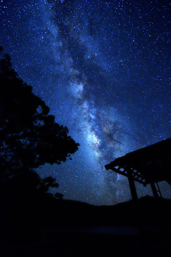 新月の夜に
