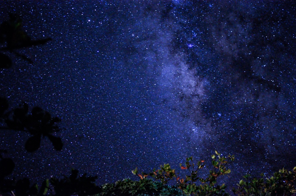 夏の天の川