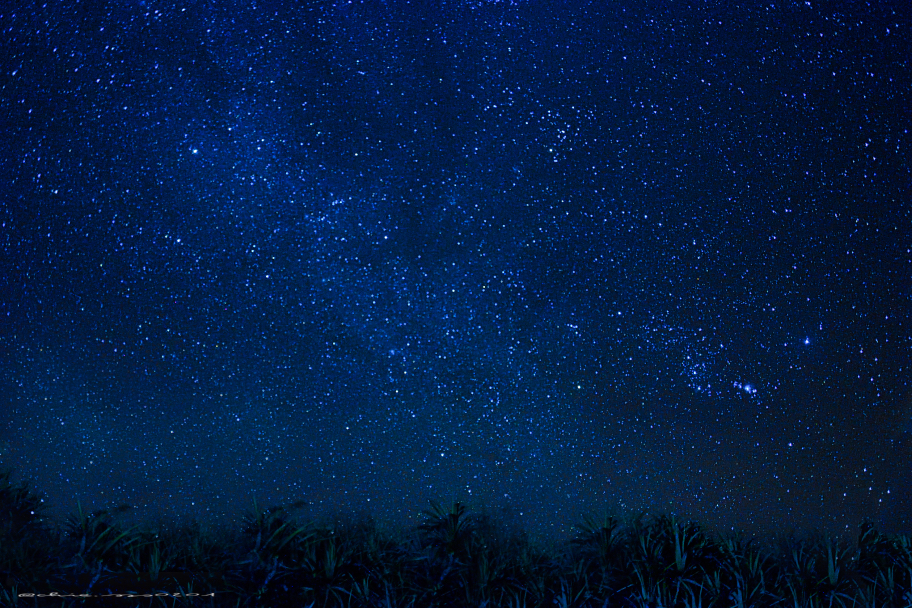 Starry night