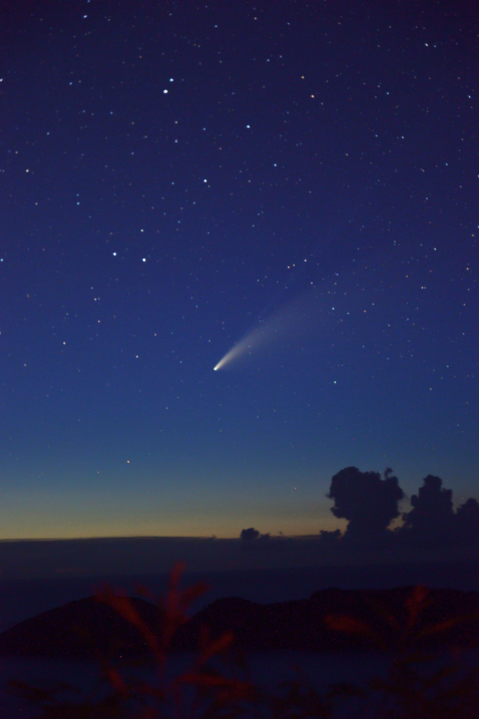 ネオワイズ彗星