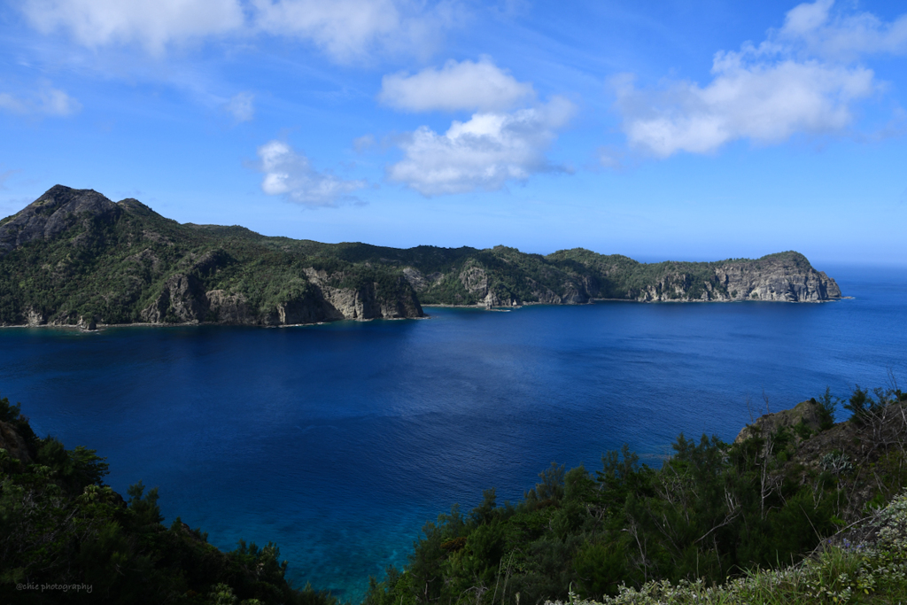 Bonin blue