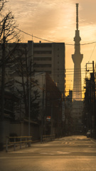 街とスカイツリー