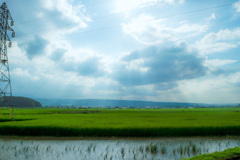 大天