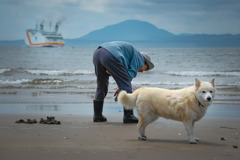 犬の生活-初夏