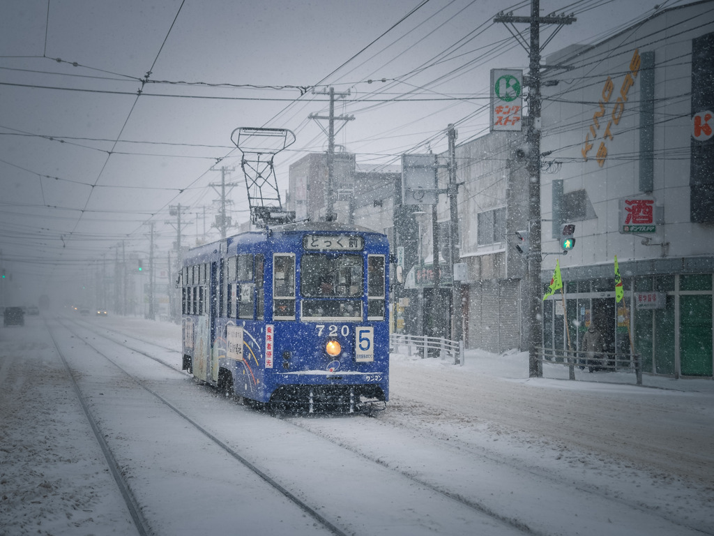 この程度の雪ならむしろご褒美