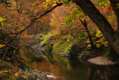 錦仙峡の紅葉1