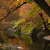 錦仙峡の紅葉1